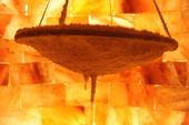Bob_2534